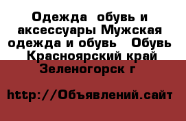 Одежда, обувь и аксессуары Мужская одежда и обувь - Обувь. Красноярский край,Зеленогорск г.